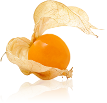 Footer Image Berry